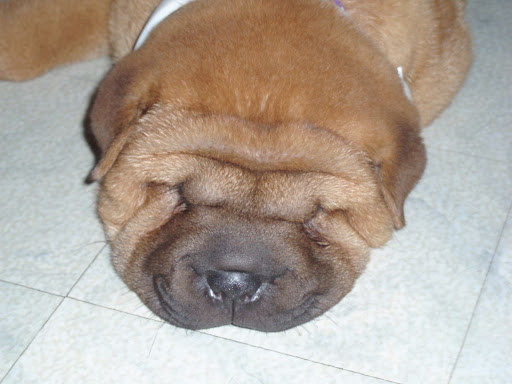 Randy Nelson Photo 5 Randy Nelson Photo 5