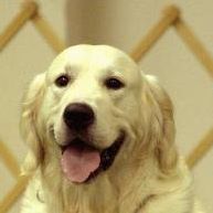 Laurie Burks Photo 16