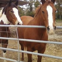 Stacy Drake Photo 13