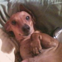 Daryl Bailey Photo 35