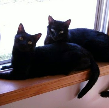 Debra Workman Photo 2