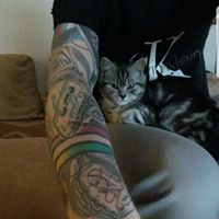 Patrick Link Photo 14