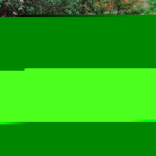 Teresa Gordon Photo 9