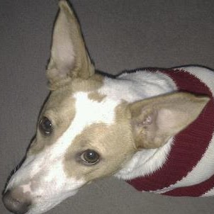 Janet Mackay Photo 22