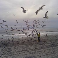 Karen Rhoades Photo 26