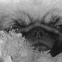 Robyn Hurst Photo 10