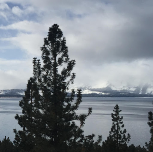 Theresa Stauffer Photo 5