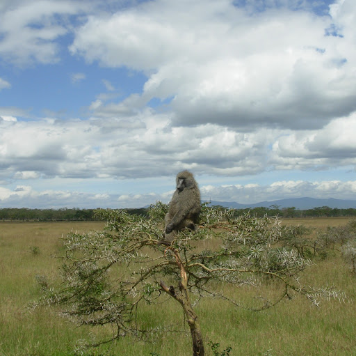 Roland Walker Photo 19