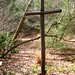 Brad Cross Photo 18