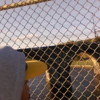 Frederick Alexander Photo 26