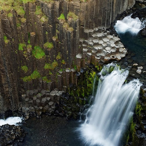 Stephen Potter Photo 32 Stephen Potter Photo 32