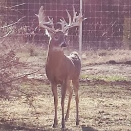 Tracey Gandy Photo 2