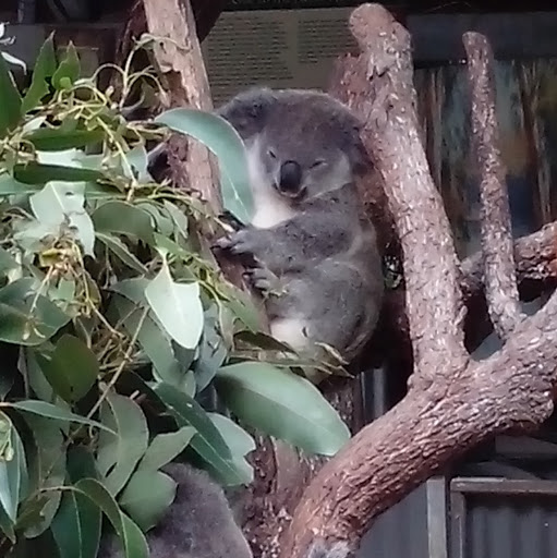 Pamela Crawford Photo 39