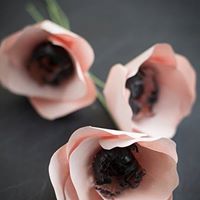 Cheryl Stoddard Photo 26