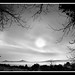 Peter Mccloskey Photo 17