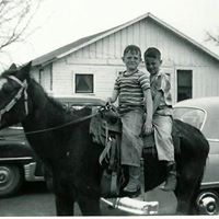 Harry Ledbetter Photo 2