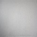 Daniel Magill Photo 9