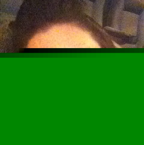 Stephanie Gibbs Photo 20