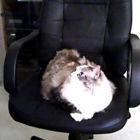 Mary Carvalho Photo 43