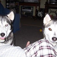 Lorraine Robbins Photo 28