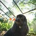 Jon Westerman Photo 16