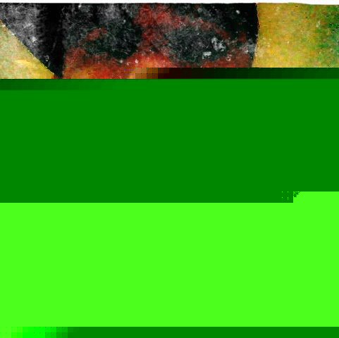 Joe Bridges Photo 30