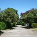 John Thorner Photo 14