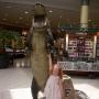 John Bruns Photo 11