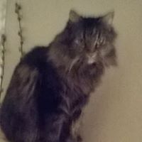 Connie Piper Photo 21