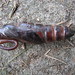 John Pupa Photo 17
