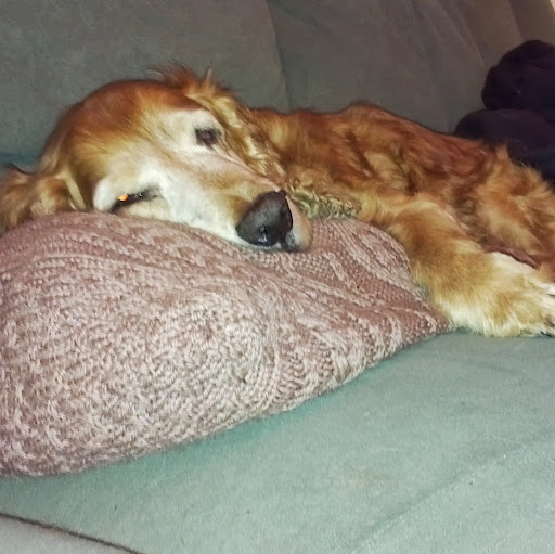 Edward Anderson Photo 27 Edward Anderson Photo 27