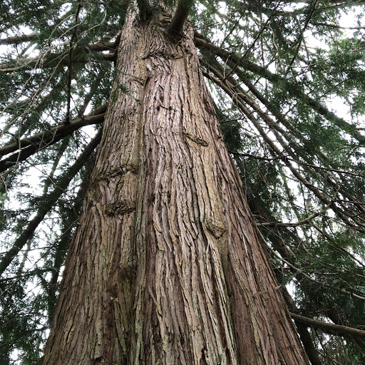 Marlene Ray Photo 32