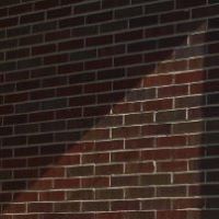 Nancy Wilkerson Photo 35