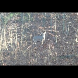 John Calloway Photo 36