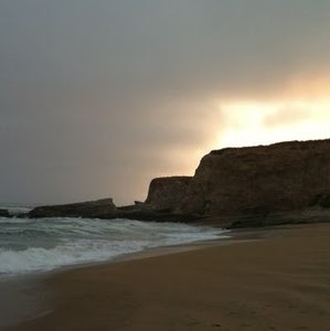 Sandra Couch Photo 3