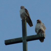 Kerry King Photo 25 Kerry King Photo 25