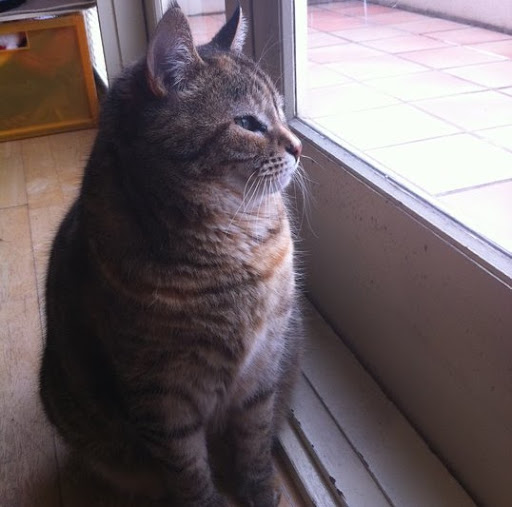 Yuen Cheung Photo 27