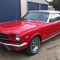 Stephen Irvin Photo 14