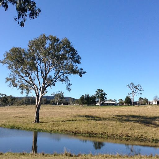 Catherine Arthur Photo 11