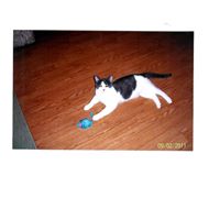 Jan Johnston Photo 29