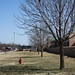 Jessica Crowder Photo 29