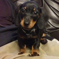 Mandy Mccabe Photo 6