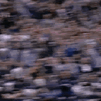 Ray Dominguez Photo 24