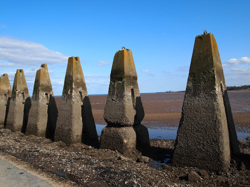 Debbie Walker Photo 13