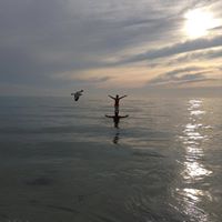 David Hoppe Photo 11