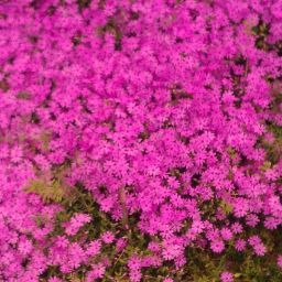 Matilda Martinez Photo 26