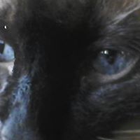 Marilyn Durant Photo 6