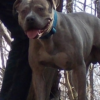 Christian Burnett Photo 20