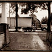 Martha Appleton Photo 9