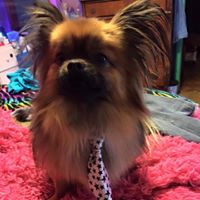 Louise Leach Photo 8 Louise Leach Photo 8